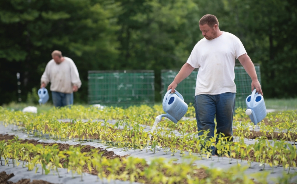 Alabama Appleseed Positive Programs